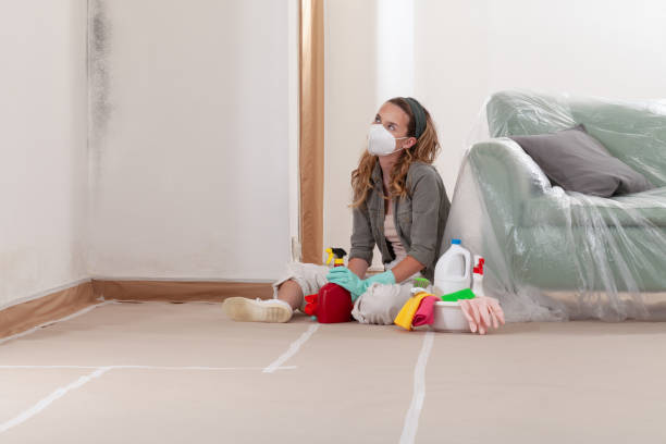Reliable Mold Testing contractor in Randallstown, MD by WQB Mold Removal