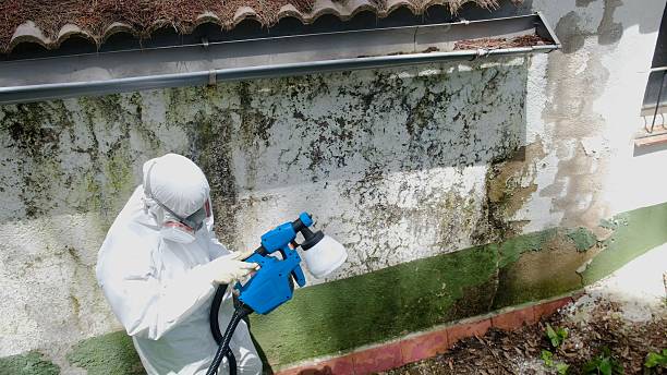 Top rated local Mold Testing specialists in Randallstown, MD
